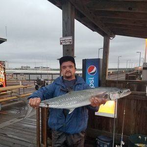 Meet your Posher, Matt